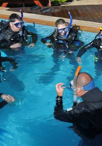 AI_Pool Assistant Instructor Pool